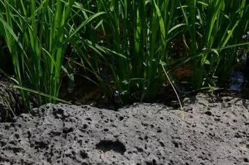 人生就是搏(中国集团)官方网站