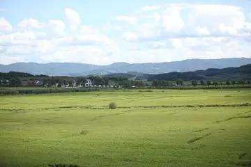 人生就是搏(中国集团)官方网站