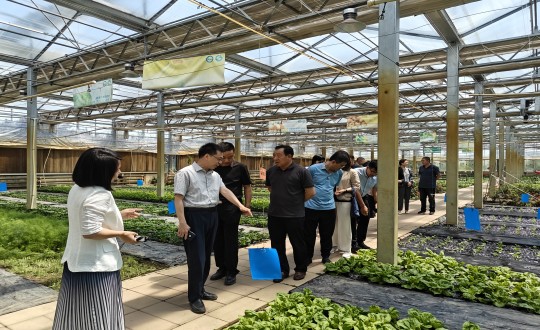 2024年6月27日，中国绿色食物开展中心相关向导莅临农业总公司考察调研_副本.jpg